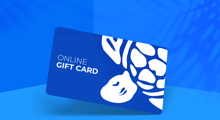 Discover our digital gift card